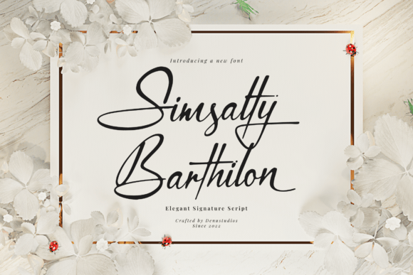Elevate Your Visual Identity with Simsalty Barthilon