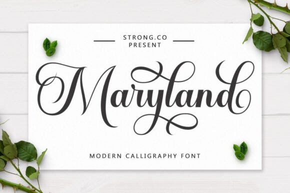 Maryland Script: Elevating Modern Design with Handcrafted Elegance