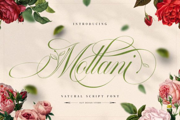 Mollani: Where Elegant Script Meets Nature's Grace